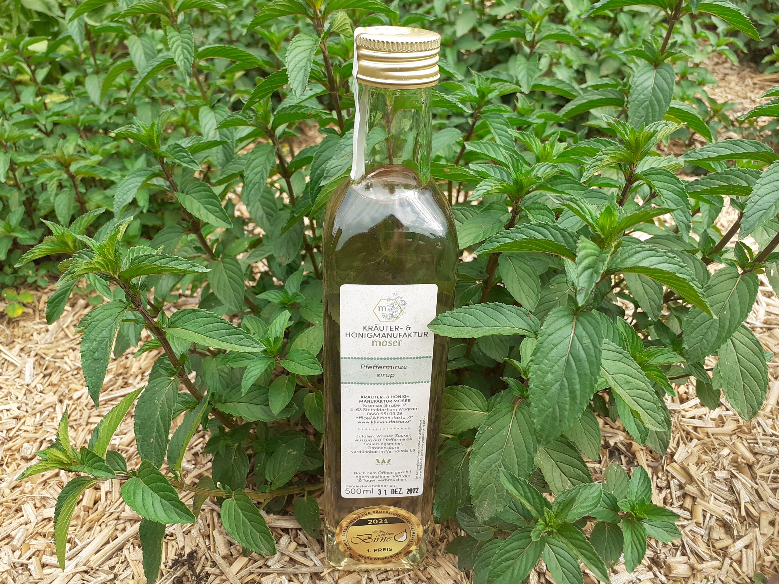 Pfefferminzesirup Pfefferminzesirup